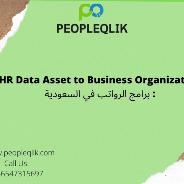 HR Data Asset to Business Organization : برامج الرواتب في السعودية