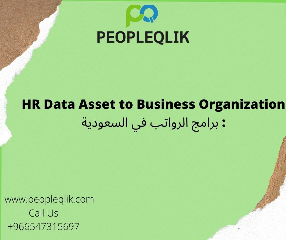 HR Data Asset to Business Organization : برامج الرواتب في السعودية