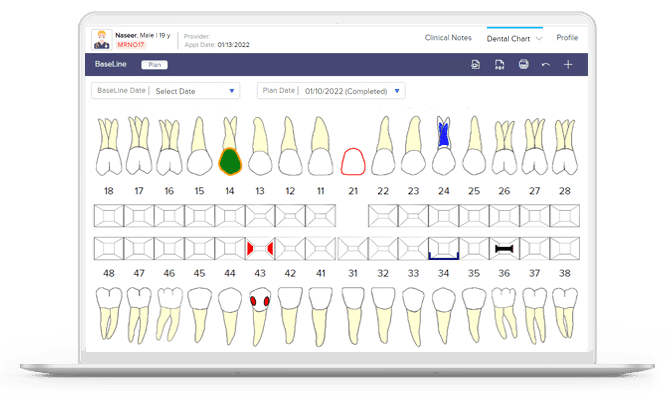 هل يوجد في نظام طبيب أسنان سعودي أي أدوات تحليلية مدمجة؟