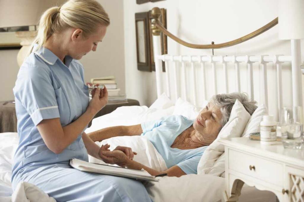 What are the primary responsibilities of a Hospice nursing?